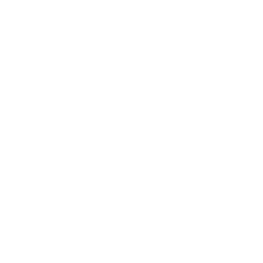 Amalia Lopez logo