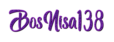 BOSNISA138 logo