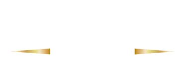 Draco protection group logo