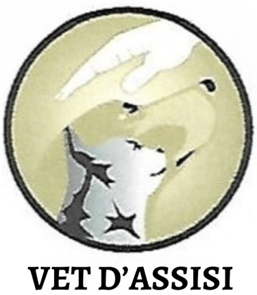 Vet Letícia Bertoncello logo
