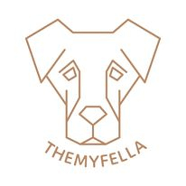 Themyfellaacademy logo