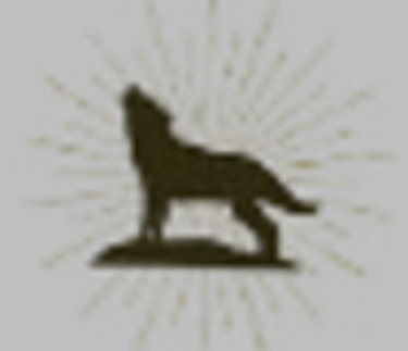 專業科技招聘培訓公司 logo