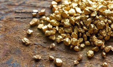 OCOTONAP - Organization For Community Tourism And Nature Protection logo