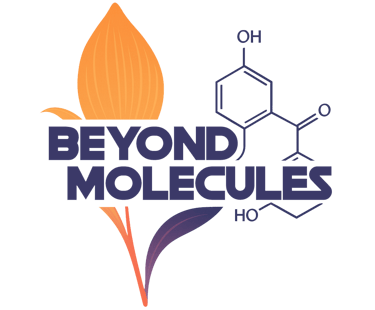 Beyond Molecules logo