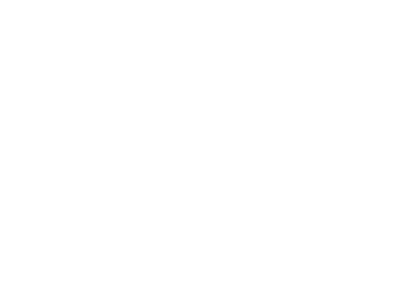 Miami Dog School logo