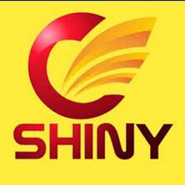 Shineway_burkina logo