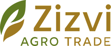 Zizvi Naturals logo