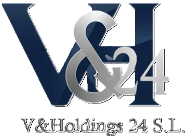 V&HOLDINGS 24 logo