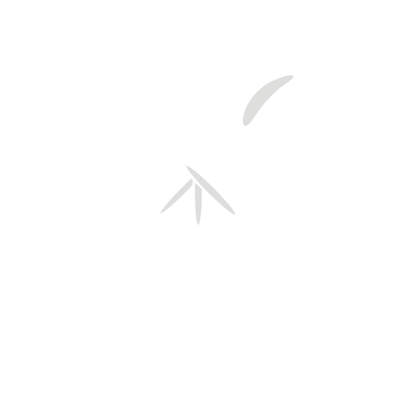 Asado 4A logo