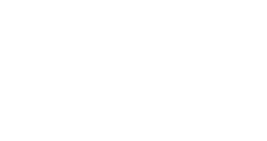 204 Customs logo