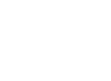 Exterior Christmas Light Installation Professionals logo