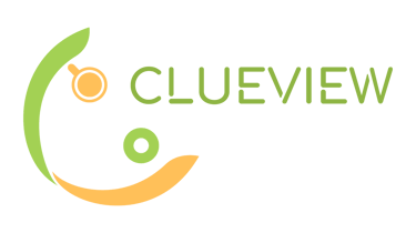 Clueview Market Research logo