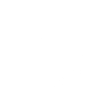 DeLeponte logo