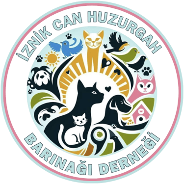 Forsaken Angels Rescue logo