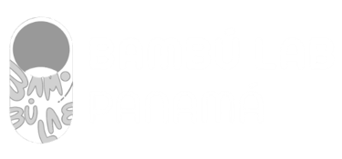 Bambú Lab logo