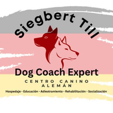 Adiestramiento Canino en Lima logo