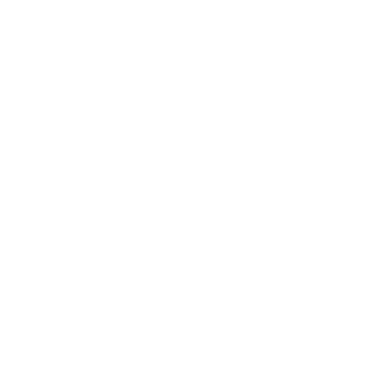Tia Vic Dog Care logo