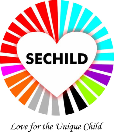 The Sedoo Initiative for Children with Special Needs - SECHILD logo