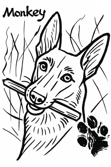 Omar's Dog Stuff logo