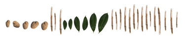 Vers l'ère post-pilule logo