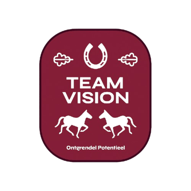 TeamVision logo