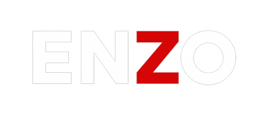 ENZO-MEDIA logo
