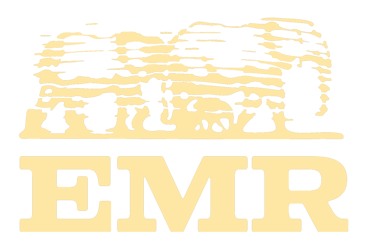 Elephant Migration Route logo