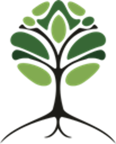livexim logo