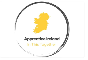 Apprentice Ireland logo
