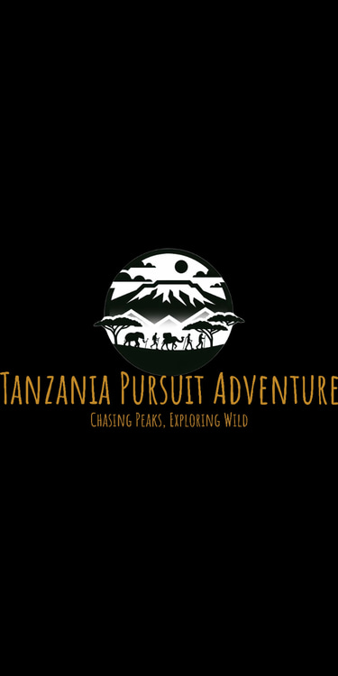 Tanzania Pursuits Adventure logo