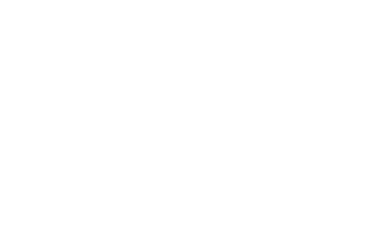 A3INFOSEC LLC logo