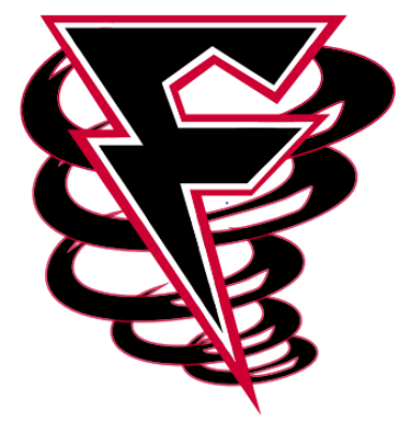 DipStiggy Force Baseball logo