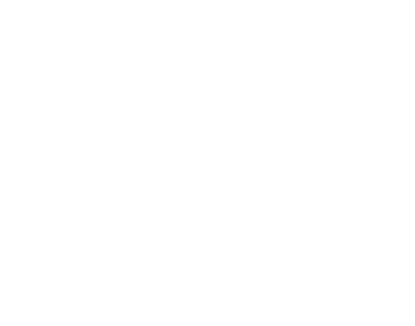 TAPP by Karina Stéfano logo