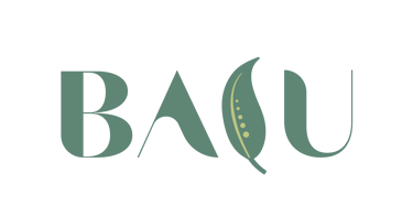 BALU logo