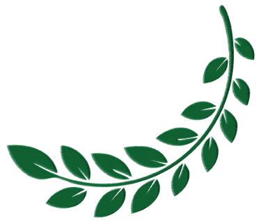 Pomme & Pin création logo