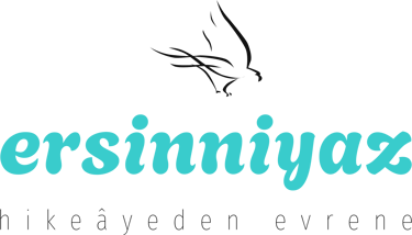 ersinniyaz logo