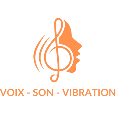 Voix Son Vibration logo