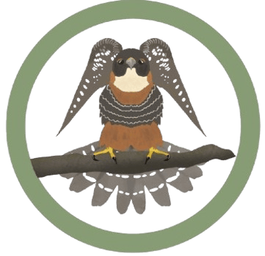 Ecoportal de Piedra logo