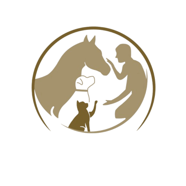 Tom Dehillotte - Ostéopathe Animalier PACA logo