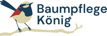 Baumpflege König logo