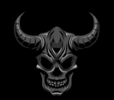 D!RTBVGCL!QUE logo