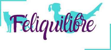 Féliquilibre, centre de bien-être et d’harmonie corps-esprit logo