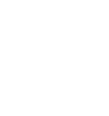 Verafide logo