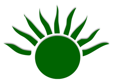 luminous future logo