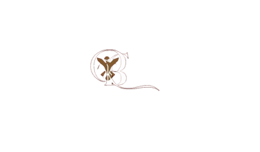 Barbara Carolina Advogada logo