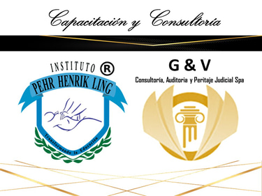 CONSULTORIA, AUDITORIA Y PERITAJE JUDICIAL SPA G & V logo