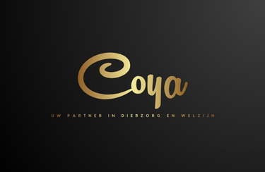 Coya Group logo