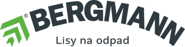 BERGMANN logo