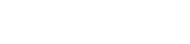 Noland logo