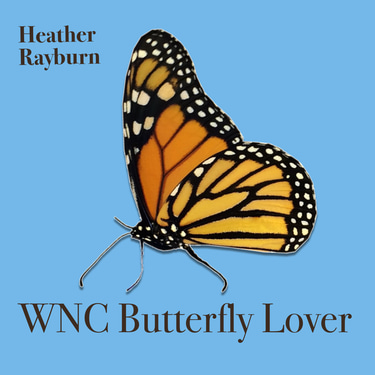 WNC Butterfly Lover logo